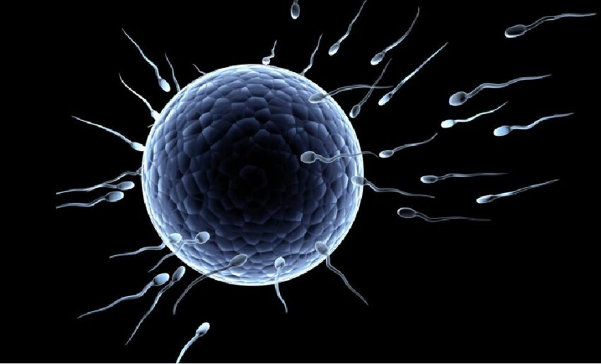 Studio su Andrology mostra una riduzione temporanea della concentrazione di spermatozoi tre mesi dopo il vaccino Pfizer - Grandeinganno