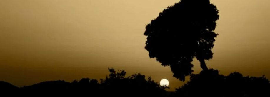 Calogero Galenci Cover Image