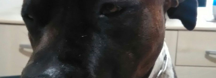 antonio Cossu Cover Image