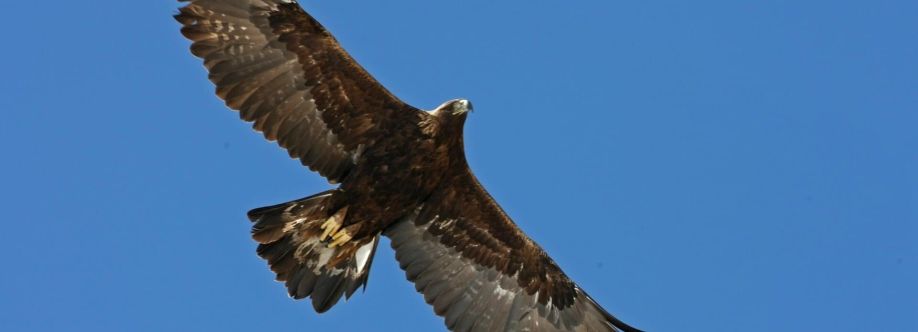 Maurizio Mangiagli Cover Image