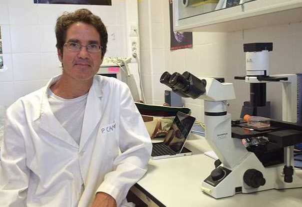 RILEVATO GRAFENE NEI VACCINI COVID19 MEDIANTE SPETTROSCOPIA MICRO RAMAN - Grandeinganno