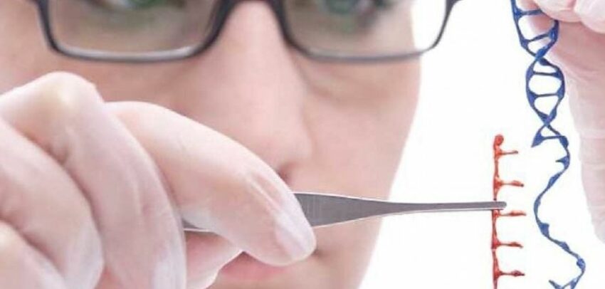 Crispr : Batteri fatti in casa con il kit comprato online a poche decine di euro - Grandeinganno