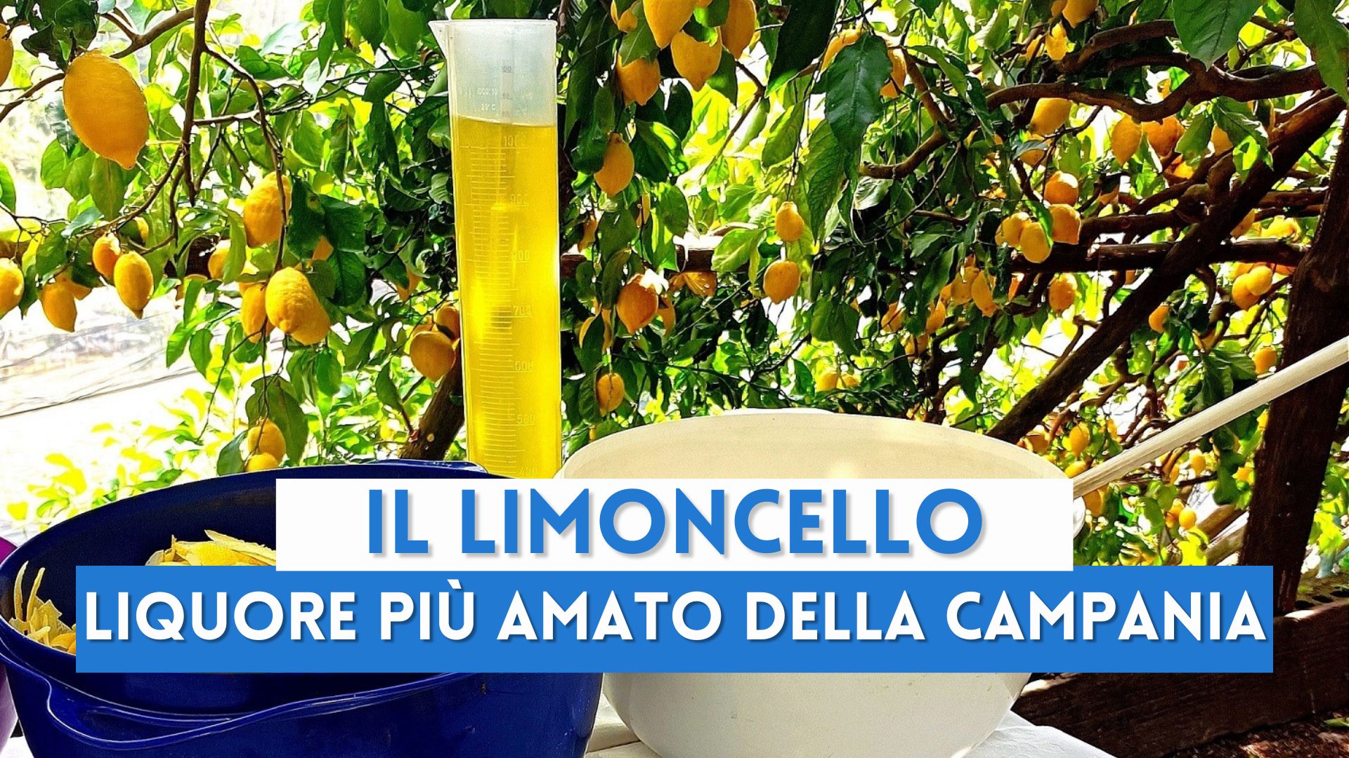 Il Limoncello: il liquore più amato della Campania