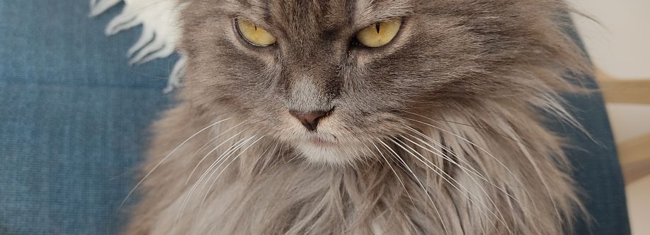 Marianna Cover Image