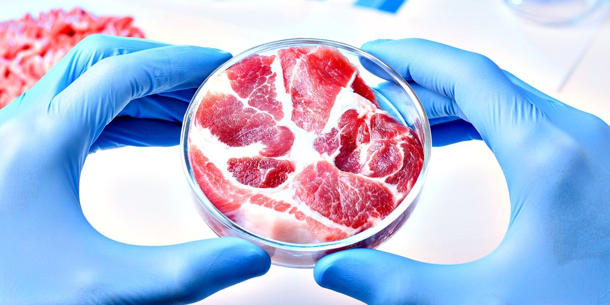 «Con la carne sintetica il cibo finirà in mano a Big Pharma» - La Verità