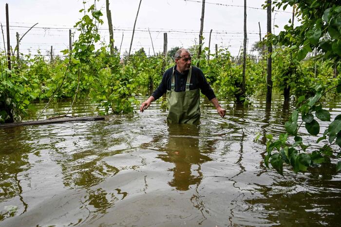 In Romagna saranno estirpati 10 milioni di alberi da frutto - Emilia-Romagna - ANSA.it