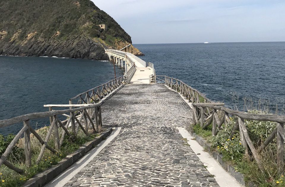 L’Isola di Vivara a Procida riapre al pubblico dopo tanti anni: passeggiate e visite in un angolo di paradiso | Napoli da Vivere