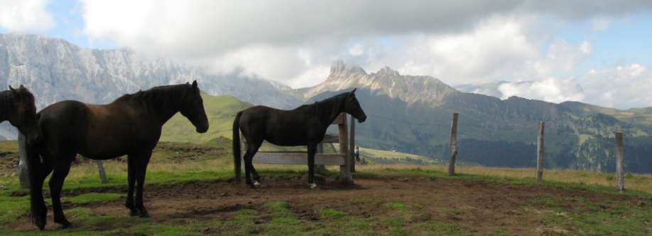 Angelo Belloni Cover Image