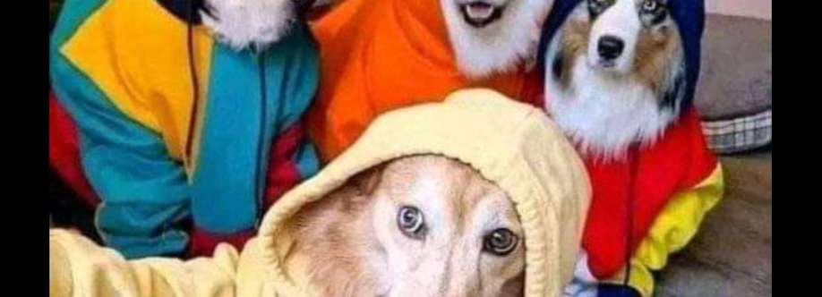 Giorgio Poggi Cover Image