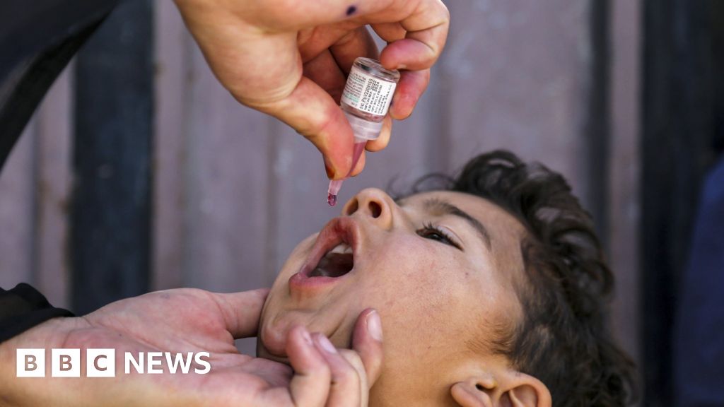 Super-engineered vaccines created to help end polio - BBC News