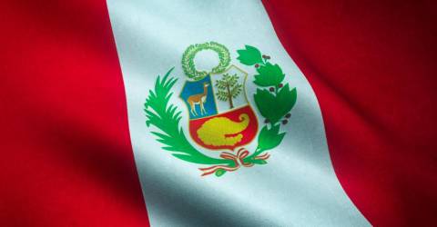 Peru declares health emergency due to spike in Guillain-Barre syndrome cases
