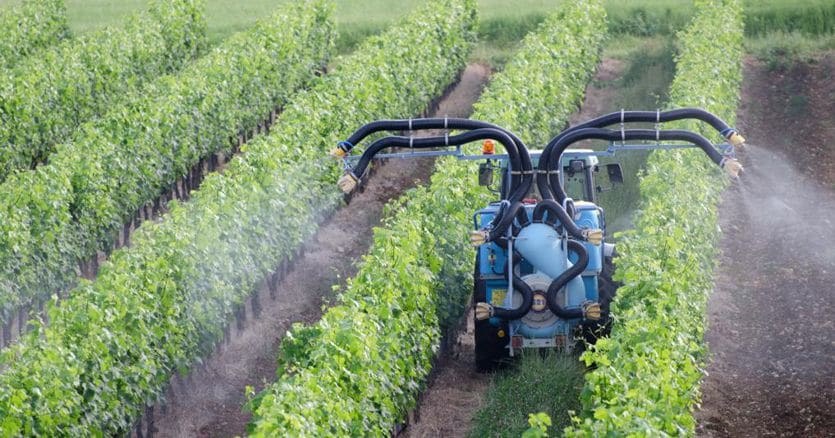 Sui pesticidi la Commissione Ue chiude la porta agli agricoltori - Il Sole 24 ORE