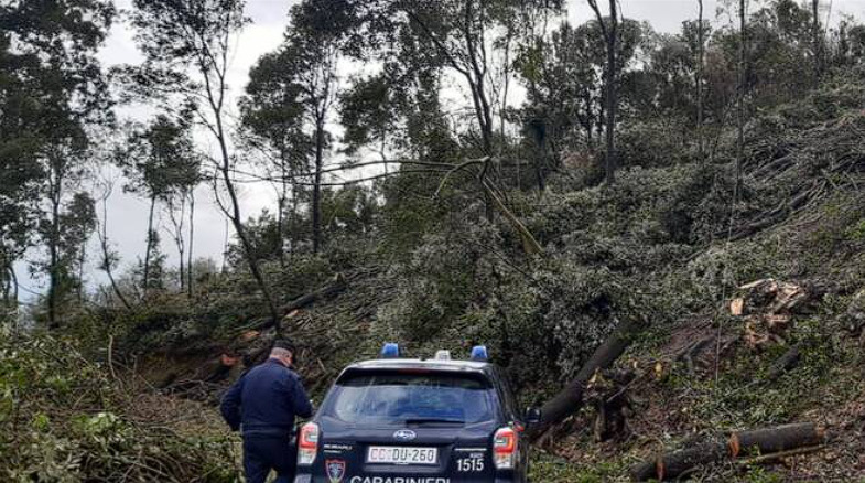 Malore mortale nel bosco, 56enne trovato cadavere - Grandeinganno