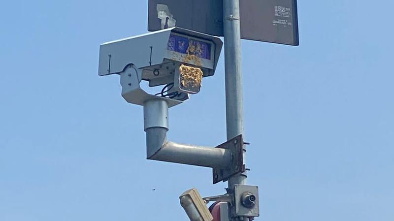 Sabotato l'autovelox di Ponte Limoni a Legnago | G. di Vicenza