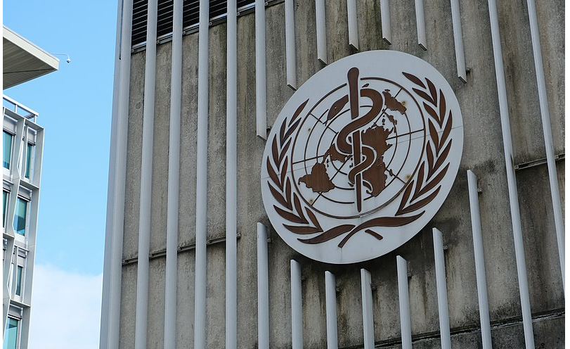 2023 Finanziatori Globali per la Salute: Partner dell'OMS - fernandagrossi.altervista.org