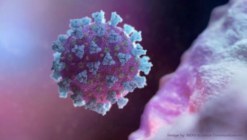 Il CDC statunitense afferma che il nuovo ceppo COVID potrebbe causare infezioni negli individui vaccinati - Grandeinganno