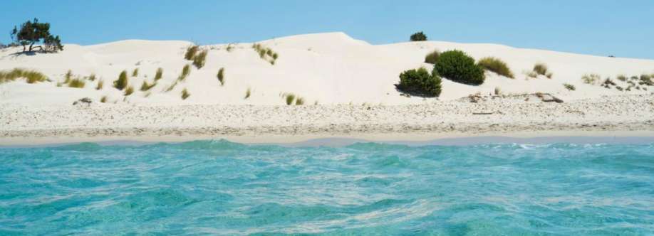 Moe Domingo Cover Image