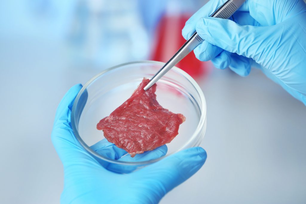 Carne coltivata: Italia fa retromarcia e non si oppone più. Figuraccia