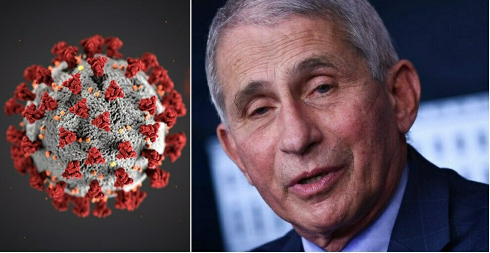 Daily Mail: "il laboratorio gestito da Anthony Fauci in Montana ha effettuato esperimenti sul Sars Cov-2 un anno prima dell’inizio della pandemia" - Arezzo Informa
