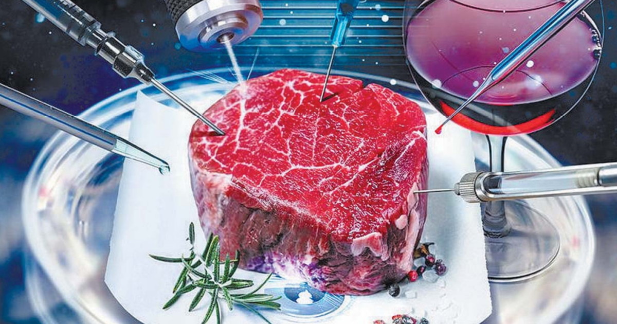 Carne artificiale, ecco dieci motivi per non mangiarla – Libero Quotidiano