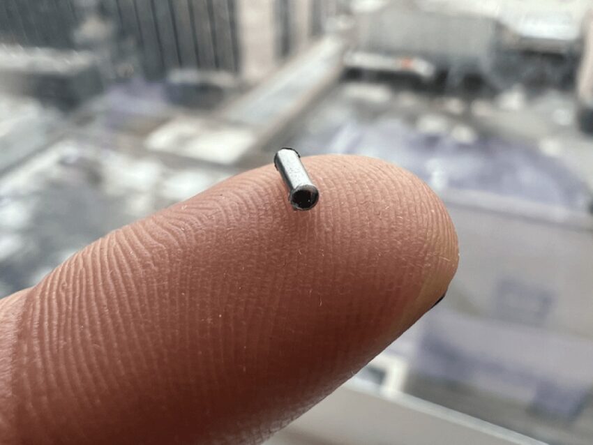 Risultati Preoccupanti: comparsi tumori nei ratti in cui sono stati impiantati i microchip - Grandeinganno