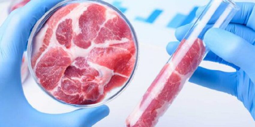 Il cibo artificiale è fuorilegge, ha vinto Coldiretti - Grandeinganno