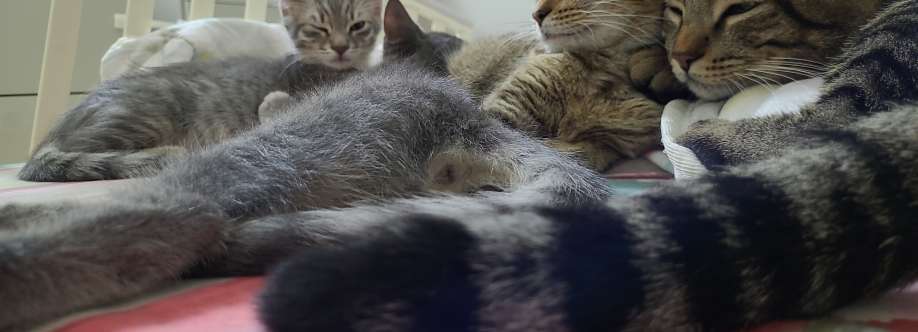 Tanya Cheltsova Cover Image