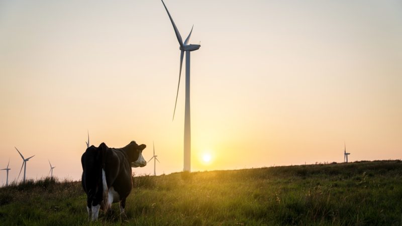 Un rapport d’experts recommande la tarification du carbone pour réduire les émissions de l’agriculture – Euractiv FR