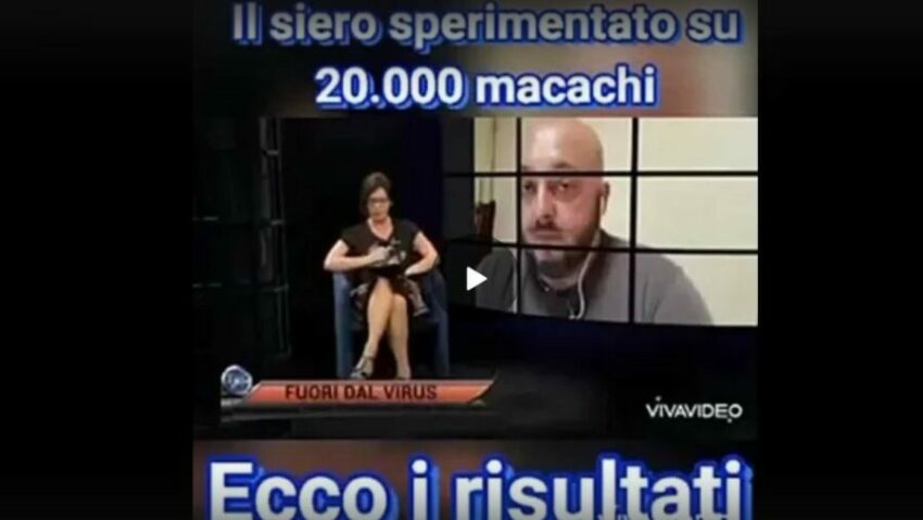 Il siero sperimentato su 20.000 macachi ...ecco il risultato - Grandeinganno