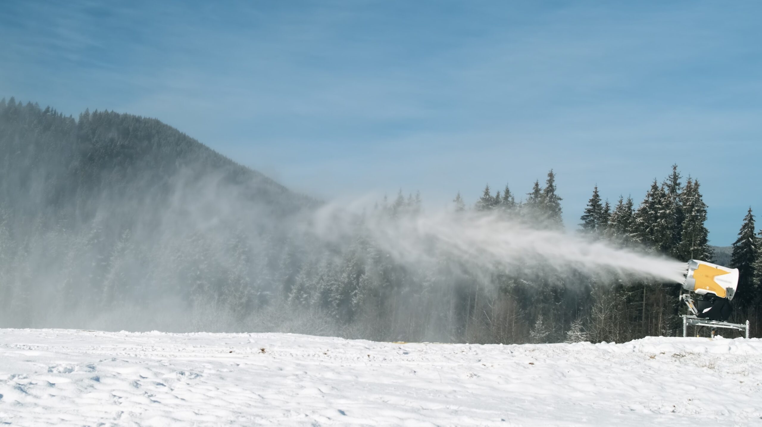 Madonna di Campiglio: altri 2,7 ettari di boschi abbattuti per fare posto allo sci - L'INDIPENDENTE