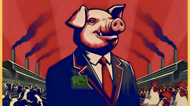 Food for profit: il documentario che svela realtà e interessi degli allevamenti intensivi - L'INDIPENDENTE