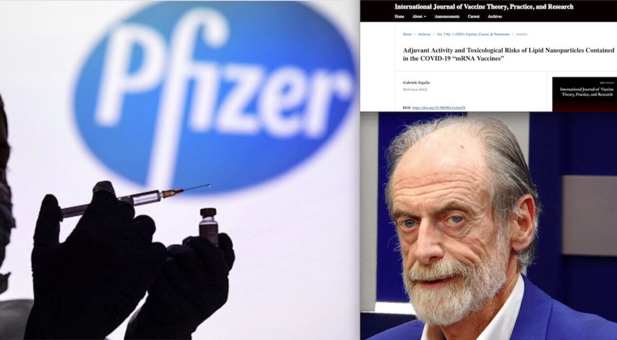 ADIUVANTI TOSSICI CELATI NEI VACCINI PFIZER SOTTO IL NASO DI EMA. Terza Ricerca Esplosiva del Biochimico Segalla per l’Anniversario Pandemia