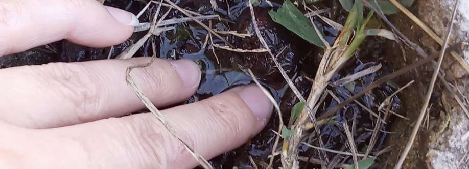 GocciadiLuna Cover Image