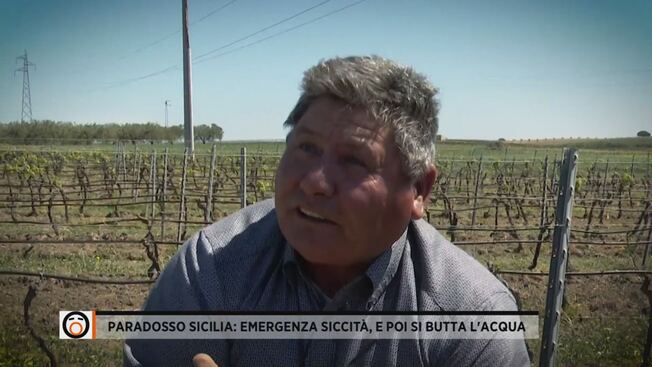 Paradosso Sicilia: emergenza siccità, e poi si butta l'acqua - Fuori dal coro Video | Mediaset Infinity