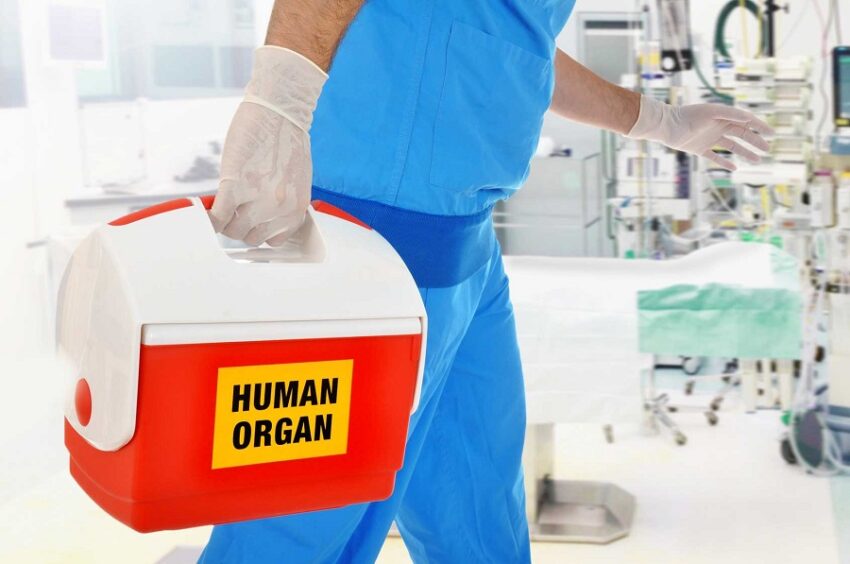 Espianti a cuore battente, quello che non sai sui trapianti-espianti di organi - Grandeinganno
