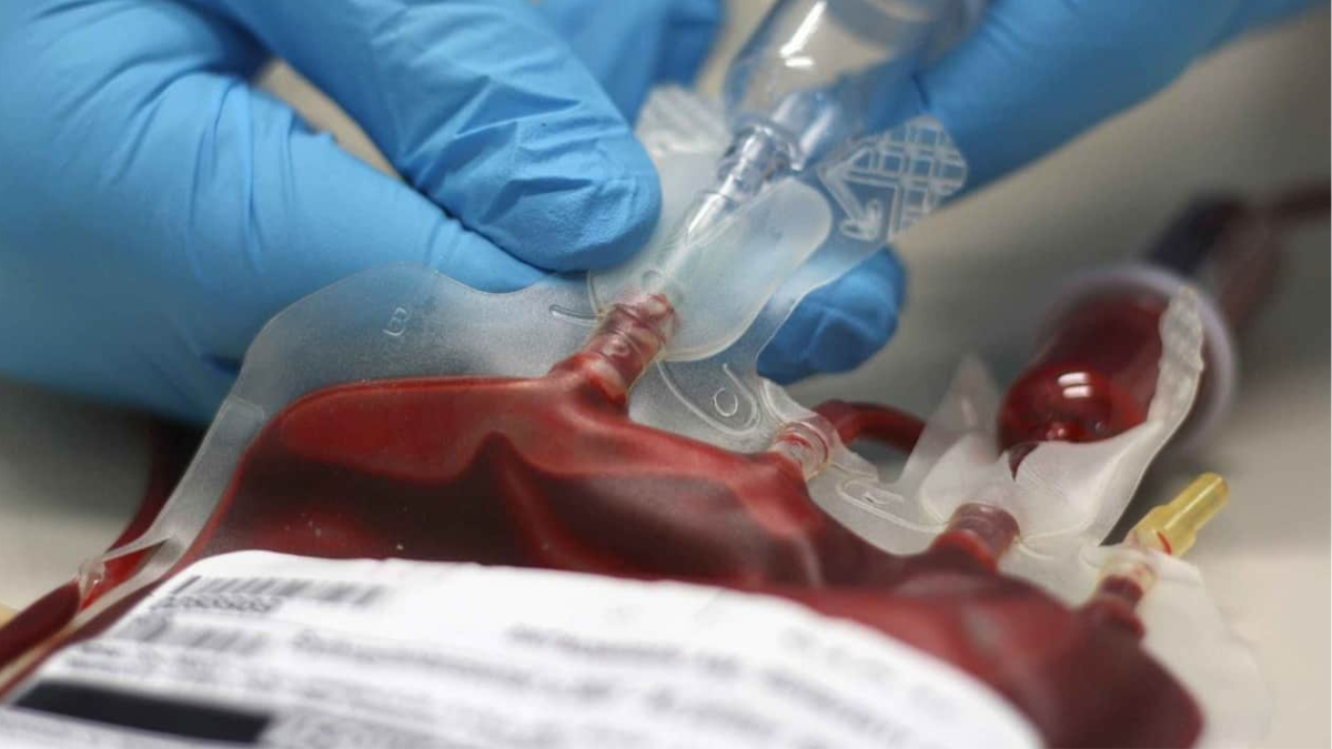 Scandalo del sangue infetto, il rapporto: "Quasi 3.000 morti, molti bambini"