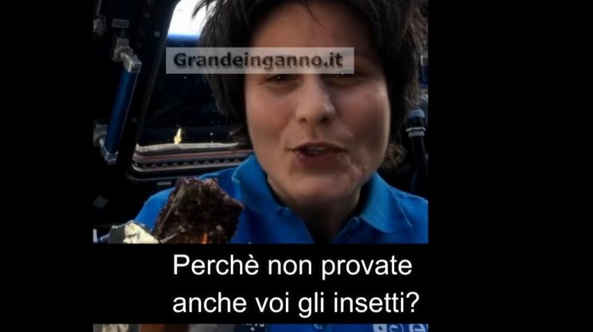 Astronauta Cristoforetti sponsorizza gli insetti ai ragazzi su Tik Tok: "Perché non provate gli insetti?" - Grandeinganno