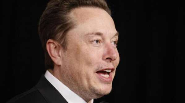 Elon Musk: "Il Partito Democratico è il partito dei criminali" • Imola Oggi