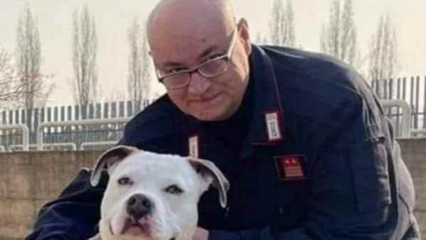Carriere costruite in ufficio e "apericena". Maresciallo smaschera pm e ufficiali • Imola Oggi