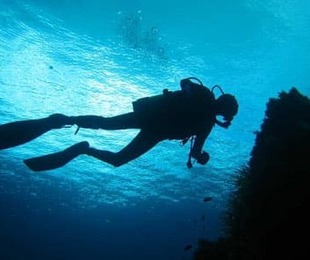 Relitto della Haven Ancora un Malore Dopo l Immersione - Arenzano