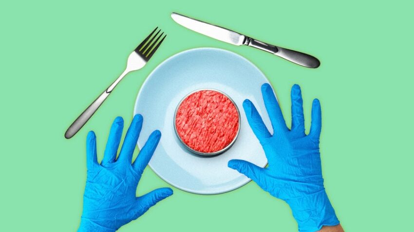 Dietro le quinte della carne coltivata in laboratorio: - Grandeinganno