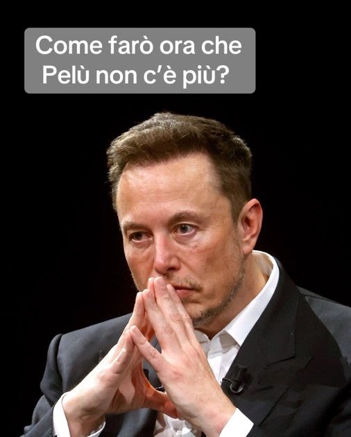 Cucu' e Pelu' Non c'e' piu' ! Tutto il Dramma di Musk sulla perdita della Insignificante "Star Italiana"!