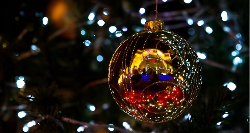 Natale la "Grande Orgia" Della Stupidità | toba60
