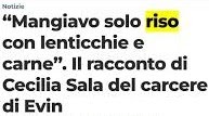 La Giornalista Sala di Ritorno dall'Iran si lamenta perche' in Cella Mangiava (solo) Riso, Lenticchie e Carne! Mannaggia, come mai nessuna Guardia Iraniana le ha preparato Aragoste e Caviale??? Che ingiustizia :)))