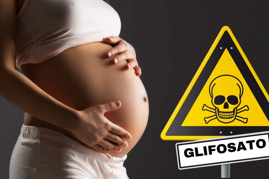 La ricerca sul glifosato: una minaccia per la salute dei neonati nelle aree rurali | il Salvagente