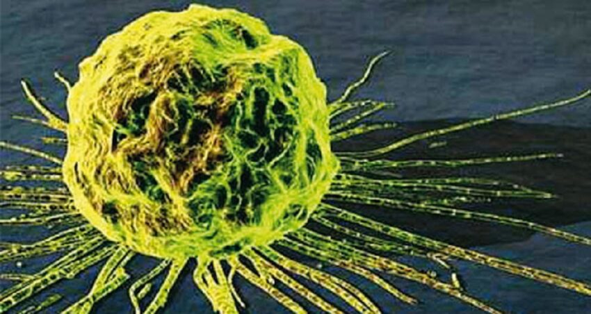 Stralcio della puntata delle iene (precauzioni per farmaci pericolosi) chemioterapici cancerogeni - Grandeinganno