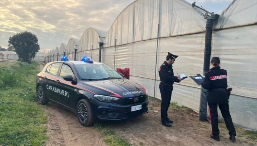 Stroncato da un malore improvviso a 55 anni mentre lavora nell’azienda agricola. - Grandeinganno