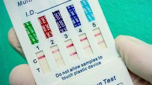 Droga, obbligo test per toghe e medici: la proposta di legge • Imola Oggi