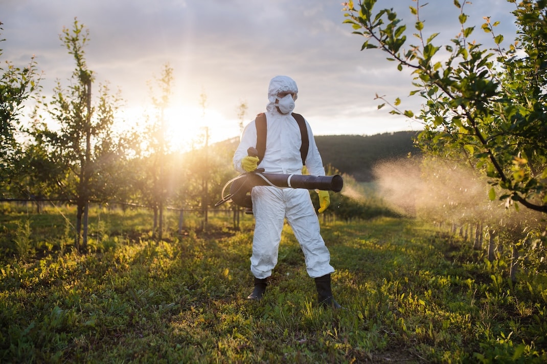 Pesticidi, il nuovo studio: contaminano più lontano di quanto si credesse | il Salvagente