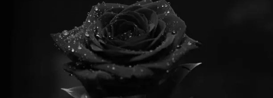 Roberto Baggio Cover Image